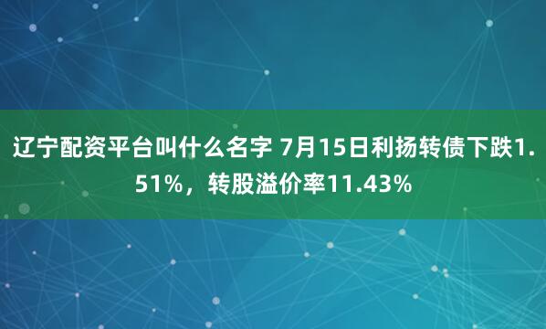 辽宁配资平台叫什么名字 7月15日利扬转债下跌1.51%，转股溢价率11.43%